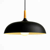 Suspension aluminium coloré et tige en bois en noir